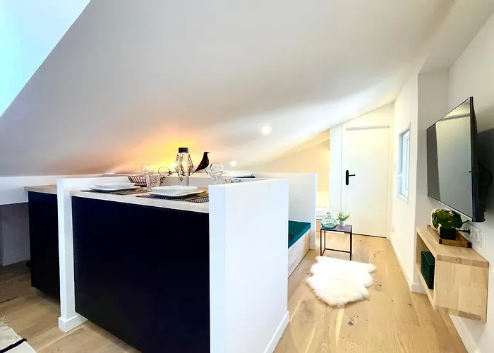 Climatise Sous Les Toits A 100m De La Place Du Capitole Toulouse