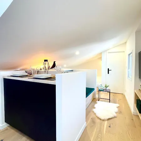 Climatise Sous Les Toits A 100m De La Place Du Capitole Toulouse